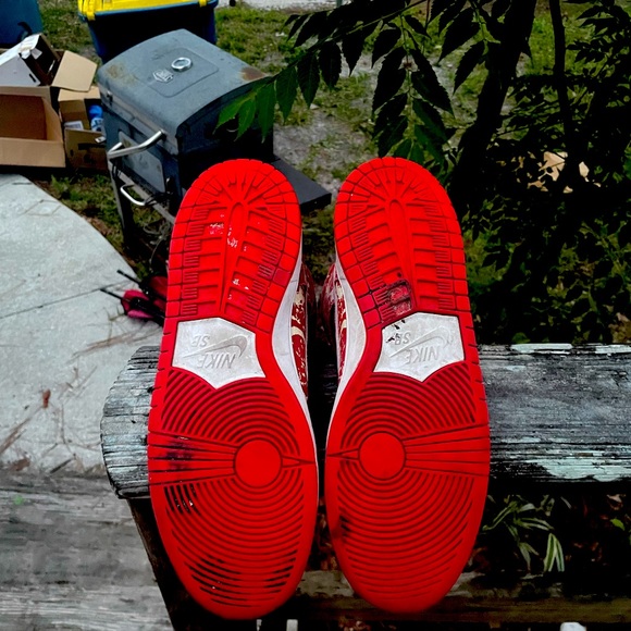 Nike SB Dunk Raw Meat - Picture 6 of 6